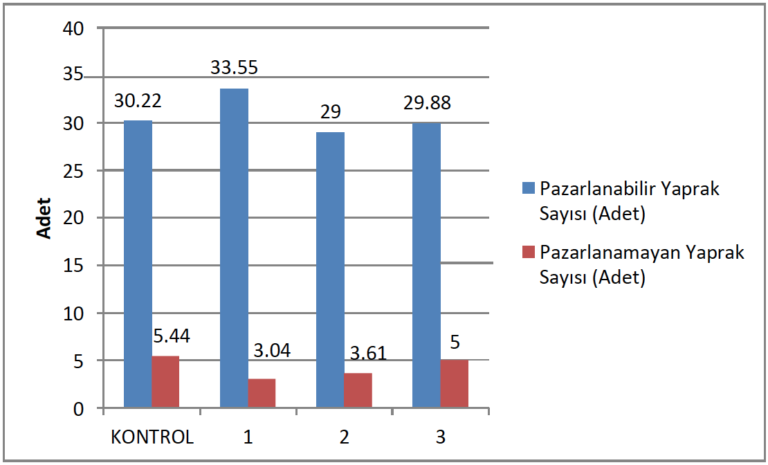 Farmoxyn DRUS Growth - Şekil 9